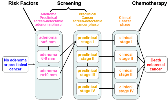 Natural history diagram of CRC cancer showing that risk factors and screening influence progression at the adenoma preclinical phase, screening influences the preclinical cancer phase progression, and chemotherapy affects the clinical cancer phase.  