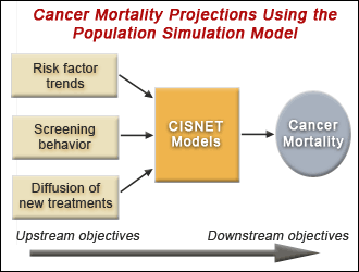 Diagram of the population simulation model. How changes in upstream objectives such as risk factors, screening and chemotherapy go into the CISNET models and project effects on the downstream objective, colorectal cancer mortality.